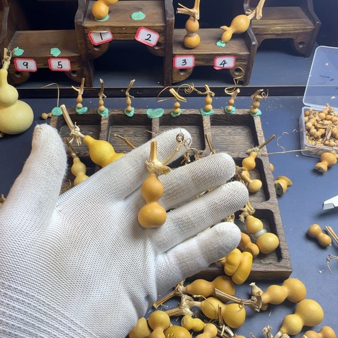 招***铛我也是很喜欢这个节目了这个发布会
