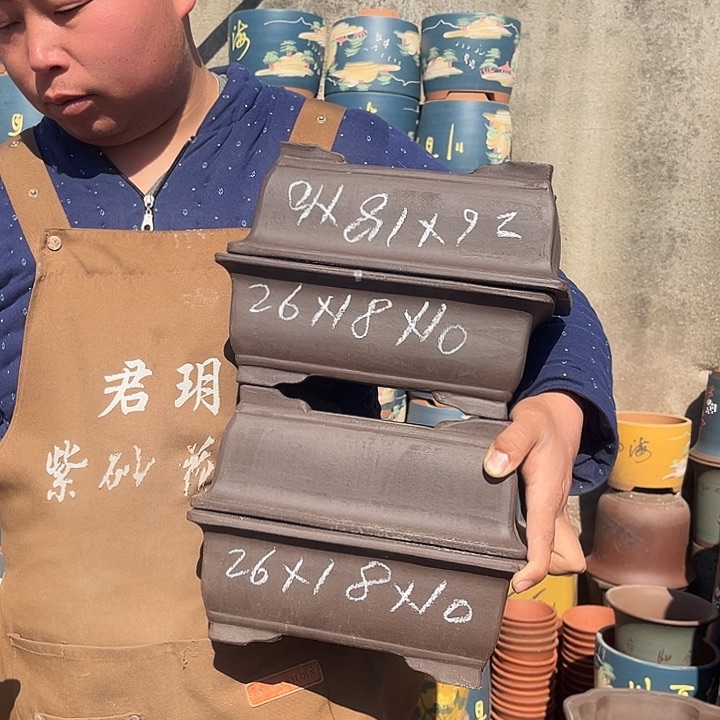 紫砂紫砂花盆盆栽