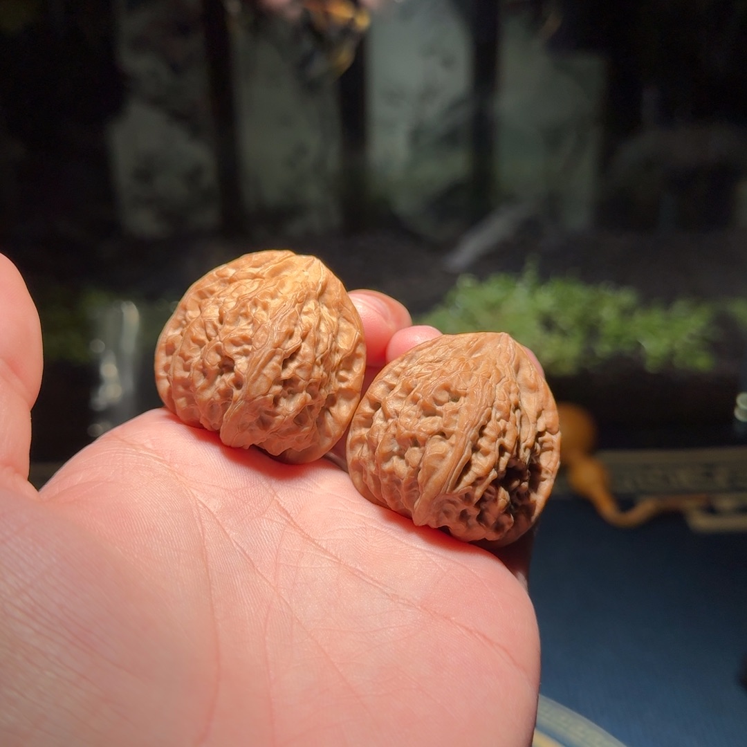 2599号39野生无名文玩核桃