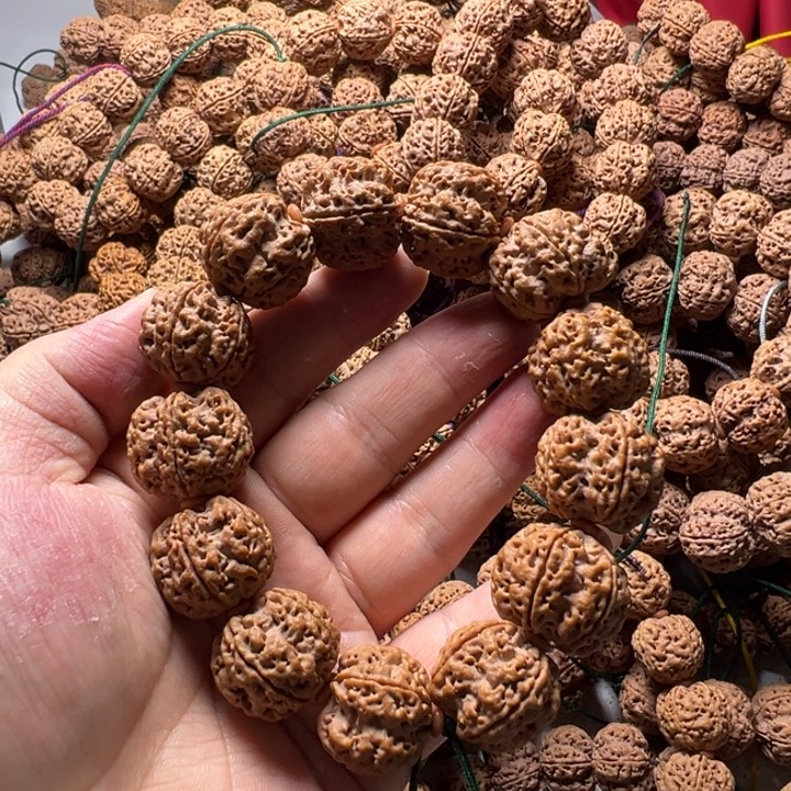 吊坠金刚菩提23号金刚