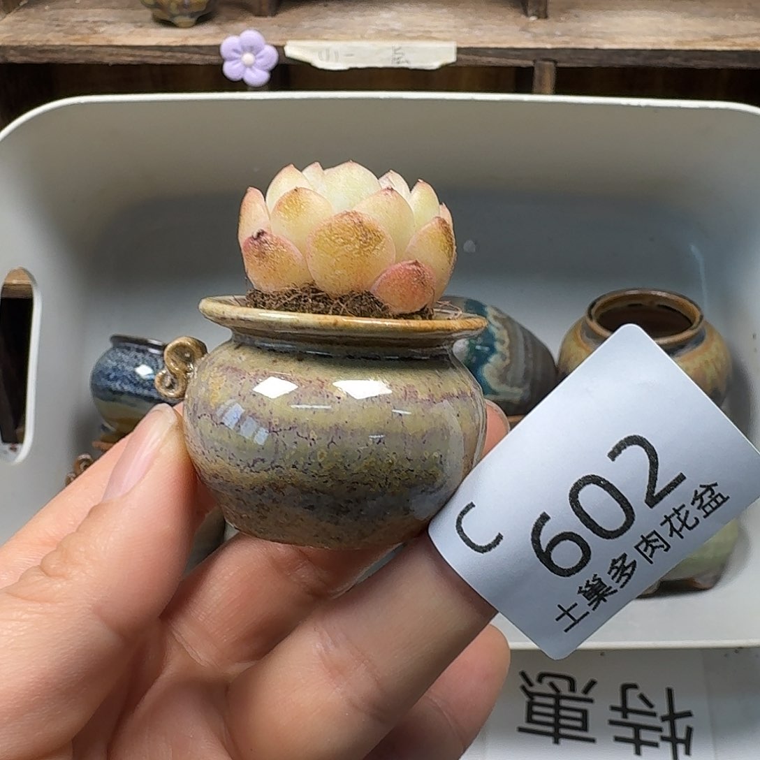 罐小*陶瓷艺术品设计与制作