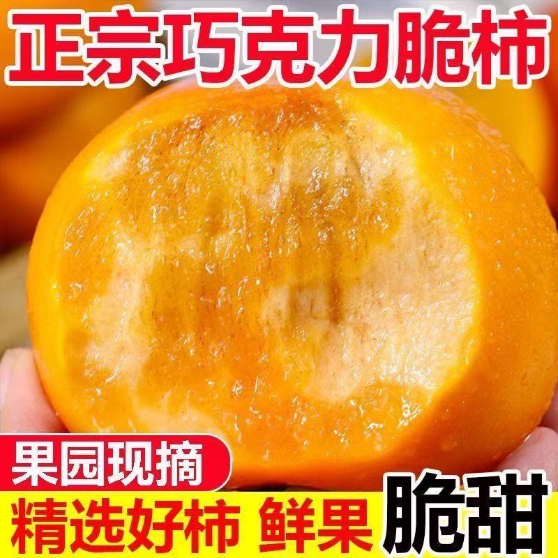 【冰糖心巧克力脆柿】2025年新鲜采摘香甜多汁山西阳丰脆柿果园直发