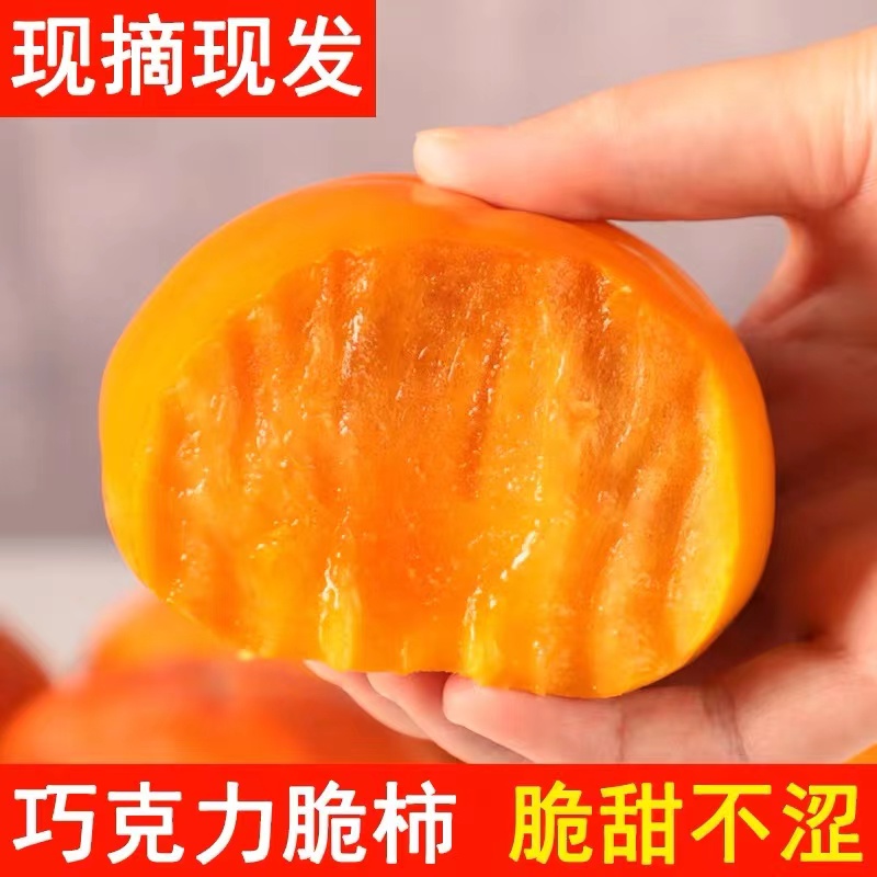 正宗新鲜脆甜巧克力冰糖心阳丰脆柿当季水果