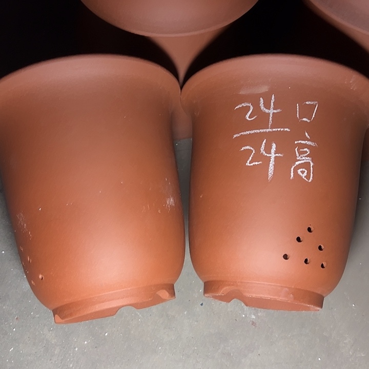 周三周四这是在深圳市中心 