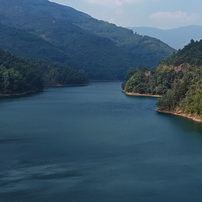 【绝世顶货】绿水塘600年古树生茶 2泡