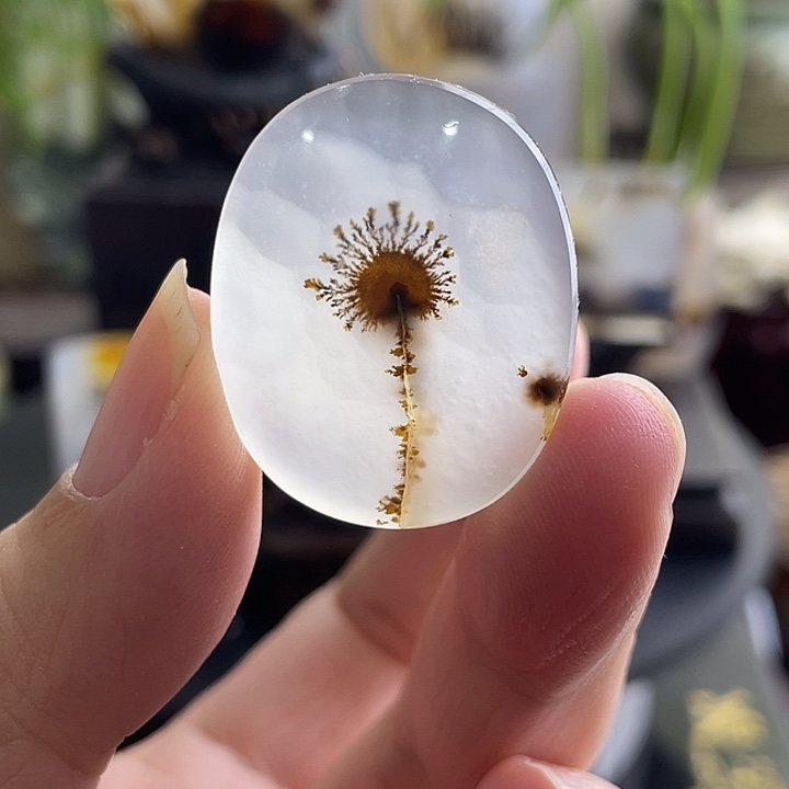 玛瑙/玉髓未镶嵌珠宝半成品