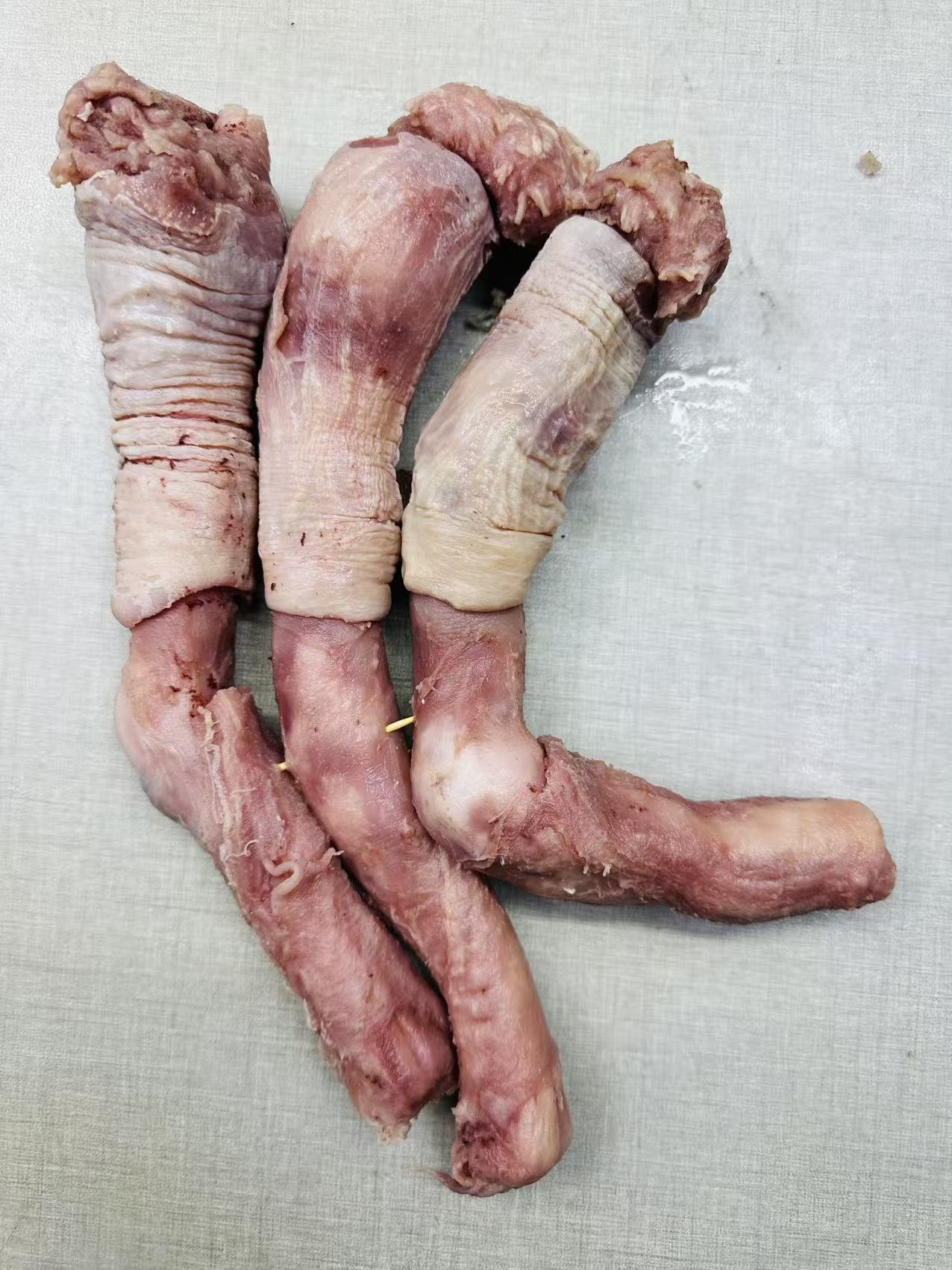 荔枝家牛鞭根牛鞭新鲜冷鲜发货