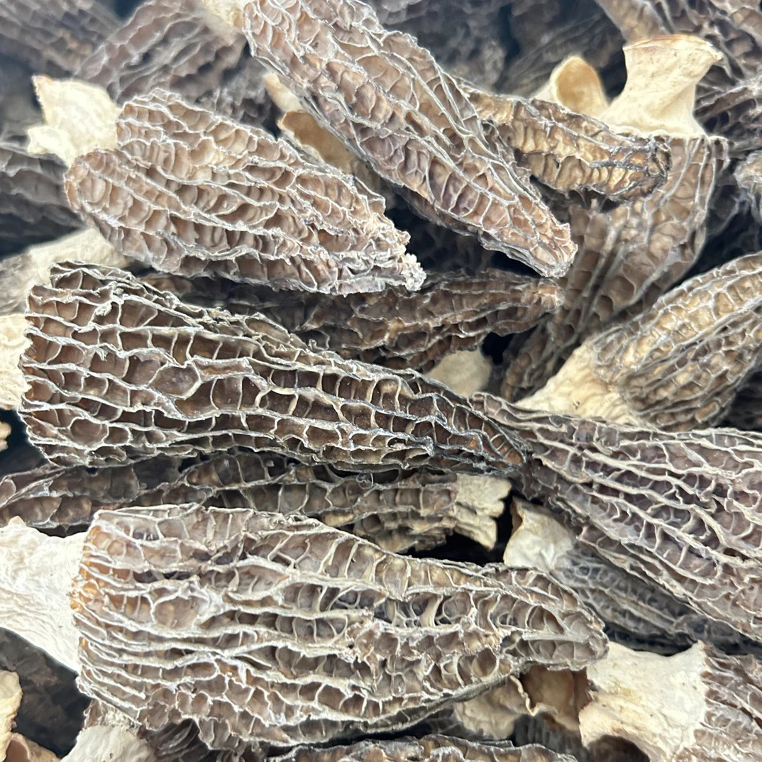 云南头茬厚肉羊肚菌9-12货不对板 假一赔十