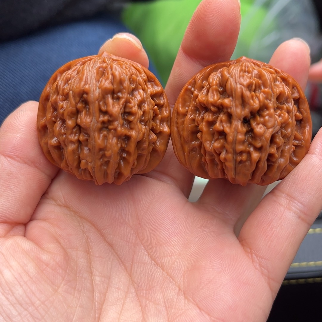 白狮子核桃全品精选