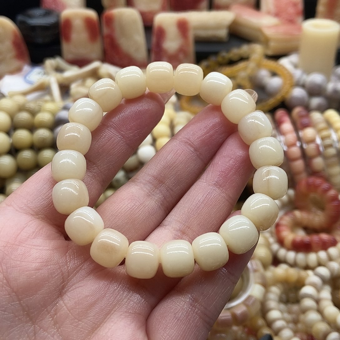 驼骨其他子*鱼驼骨极润老型