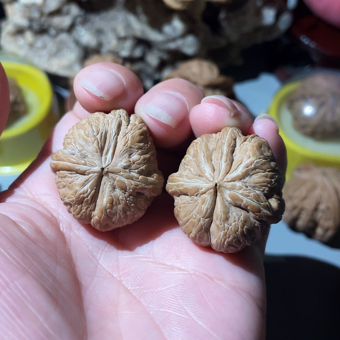 核桃手串/手链精品元宝三楞