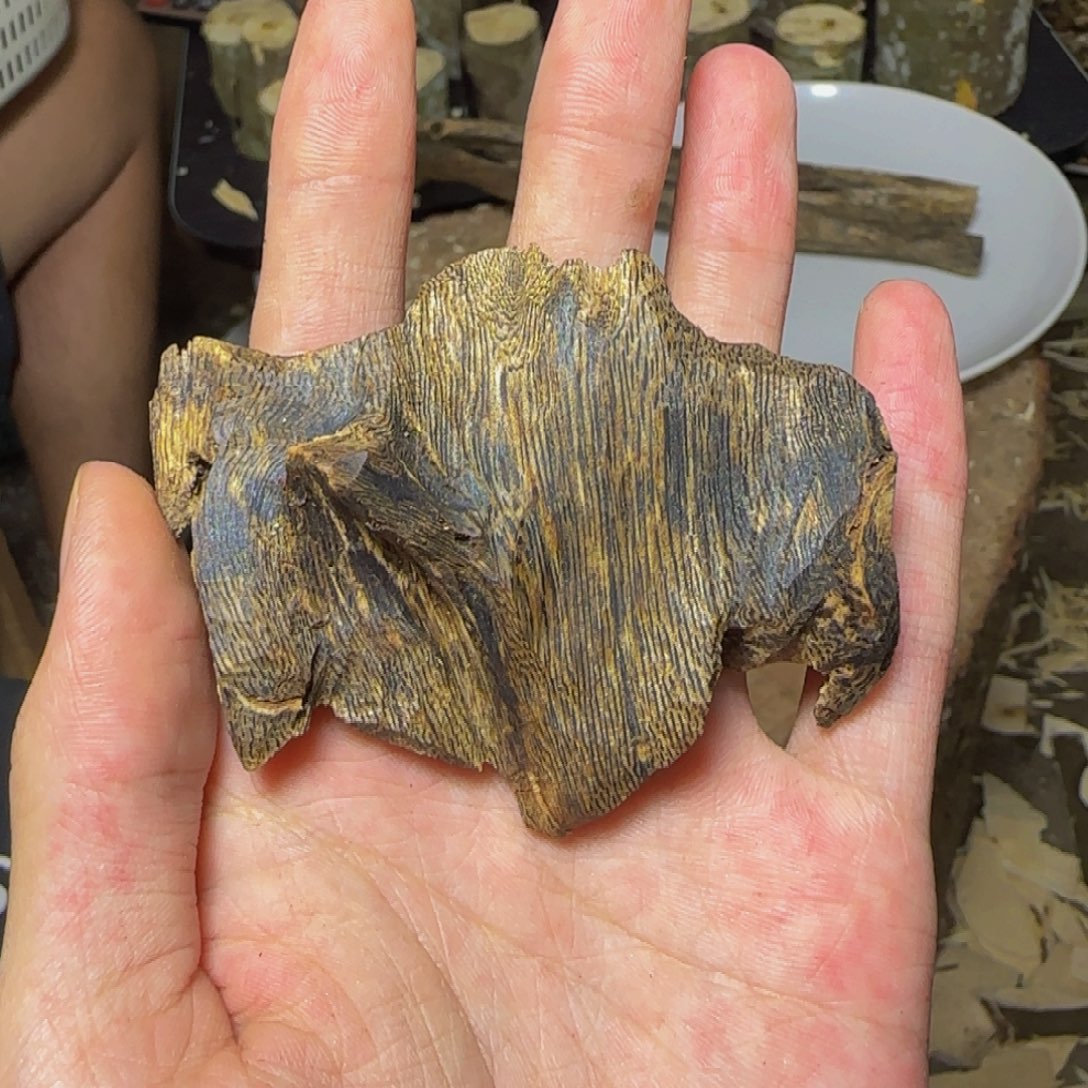 沉香紫奇手把件16