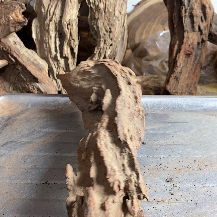 黄花梨/降香黄檀陈*韩