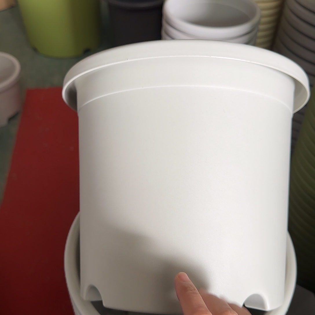 树脂四季5号无托6个灰白