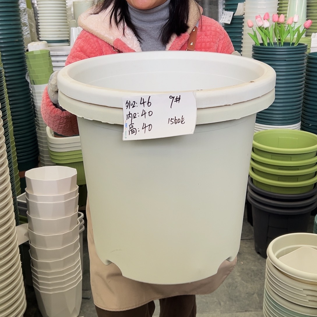 四季盆9#白色2个无托