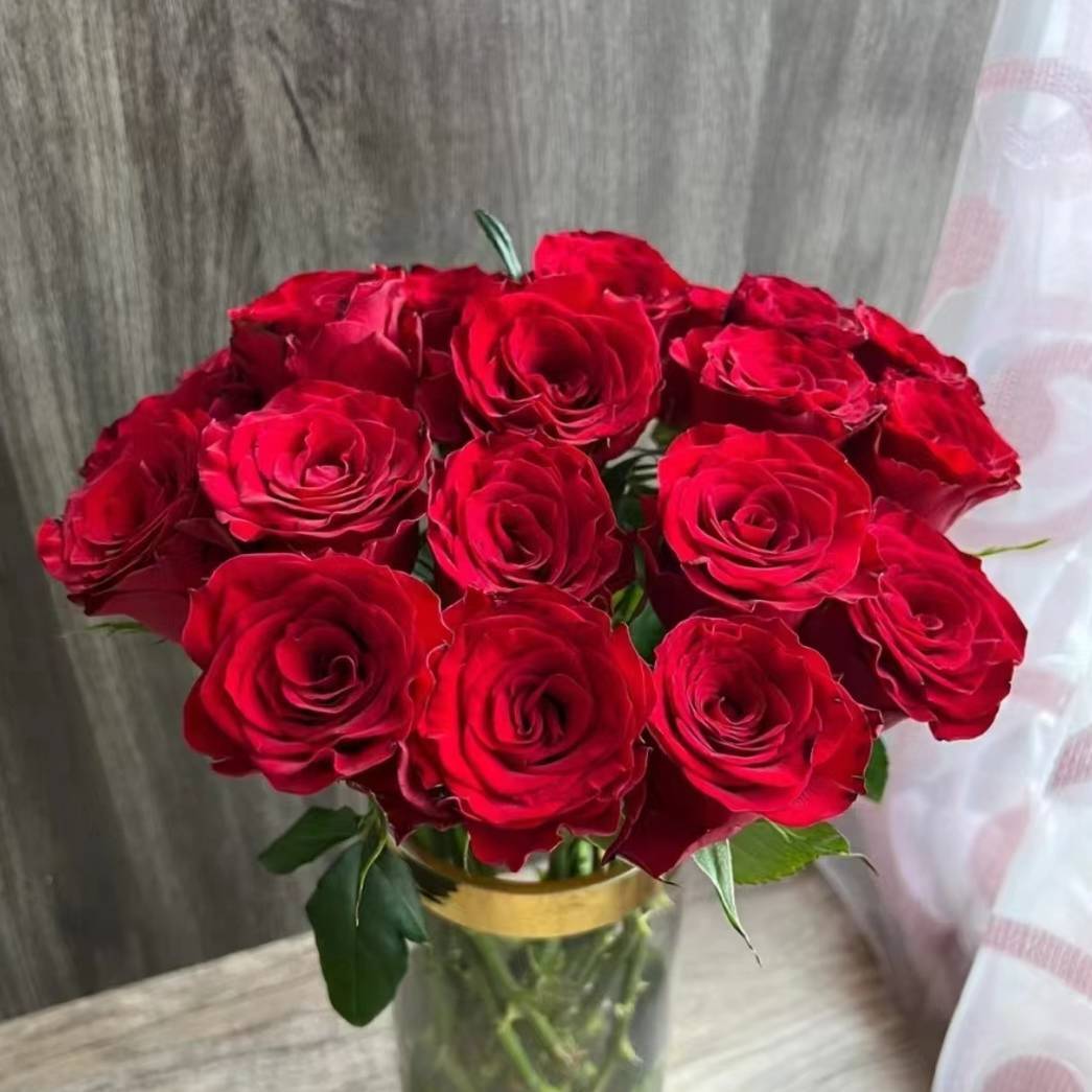 【超值爆款】【高原红玫瑰10支】云南鲜花 全店任意两件包邮送货上门