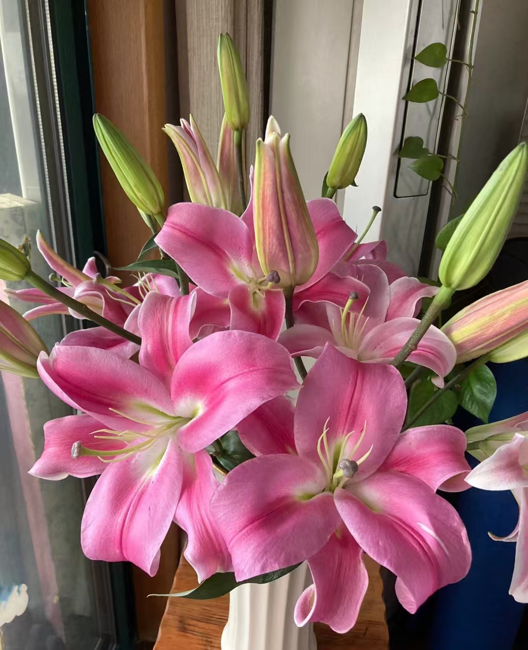 【一单包邮】罗宾百合 【两单升级京东或顺丰】云南基地