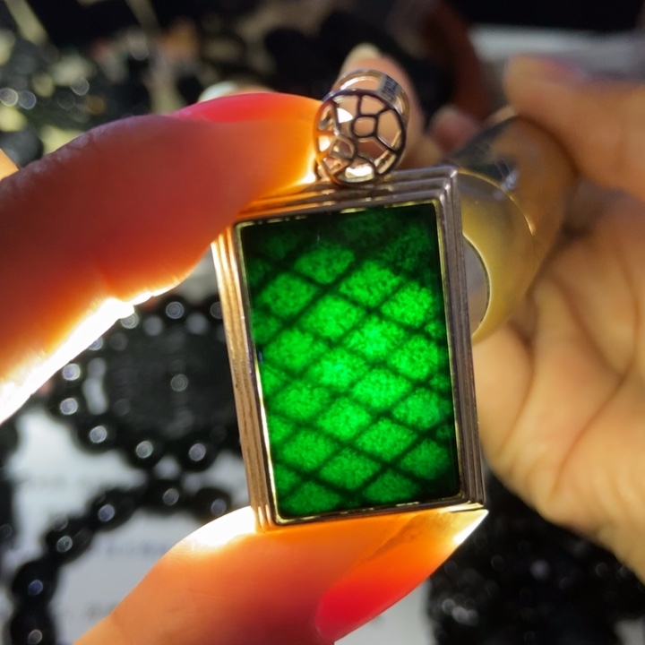 翡翠银S925镶嵌颈饰墨翠