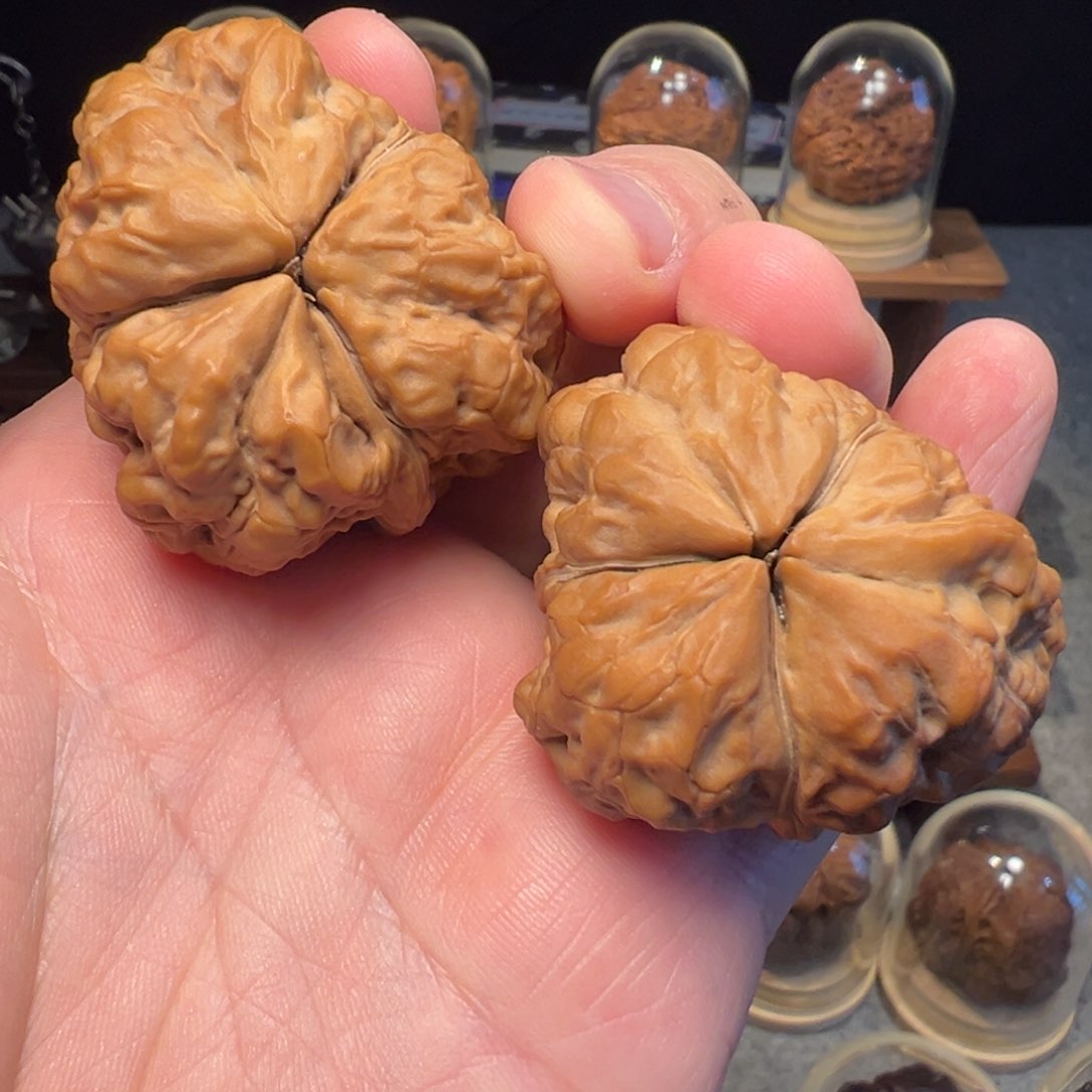 文玩核桃把件用****5九五玄包三棱