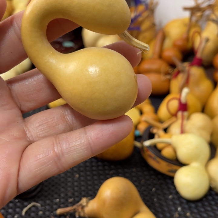 逍***2葫芦哈哈哈哈哈哈哈哈