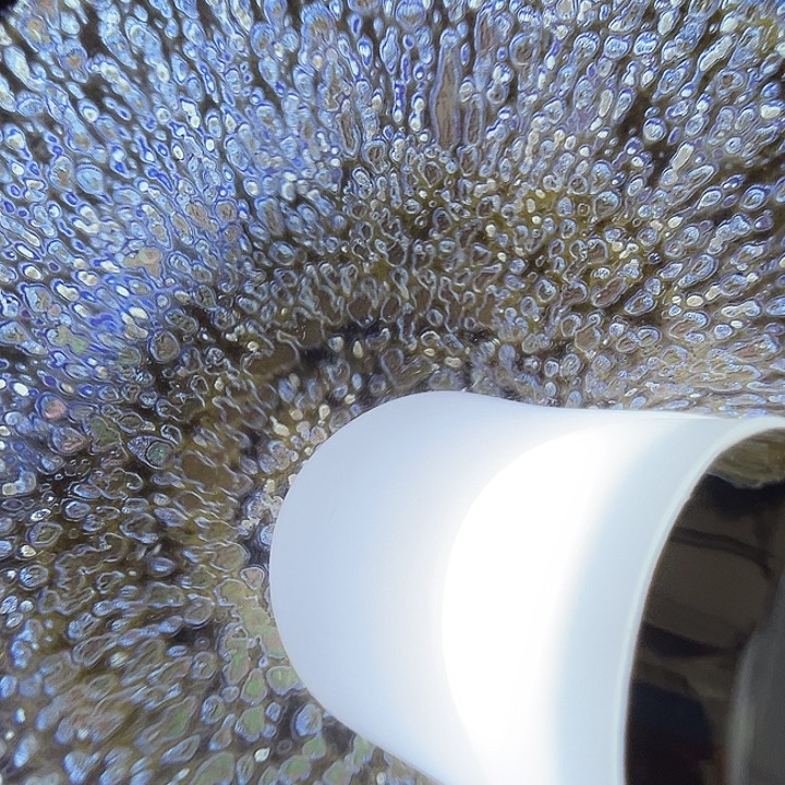 茶盏建窑建盏茶器440