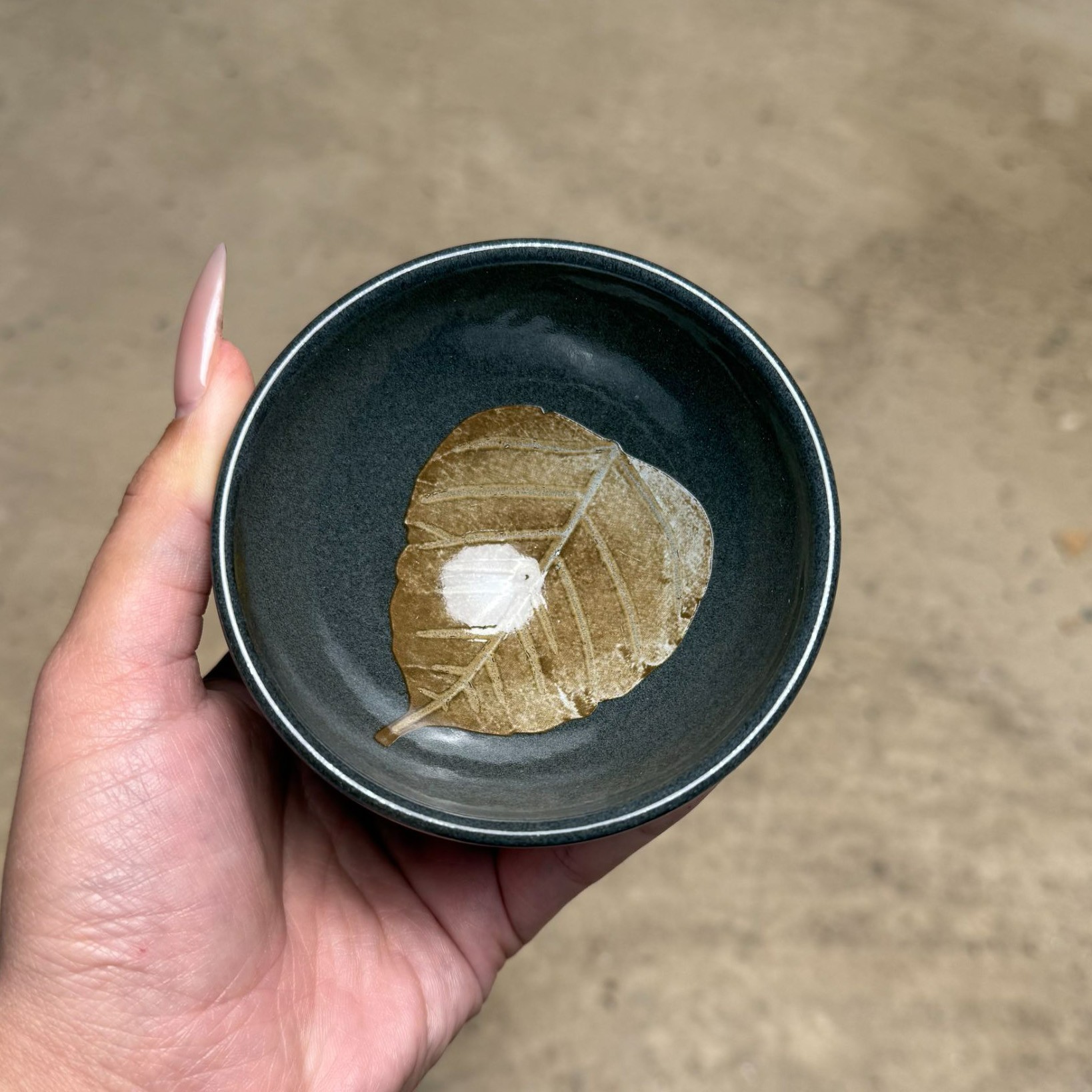 茶器茶杯 灰贝木叶