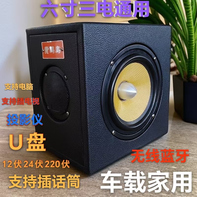 6寸蓝牙低音炮12V24v220V通用家用车载无线重低音炮U盘三轮车电脑