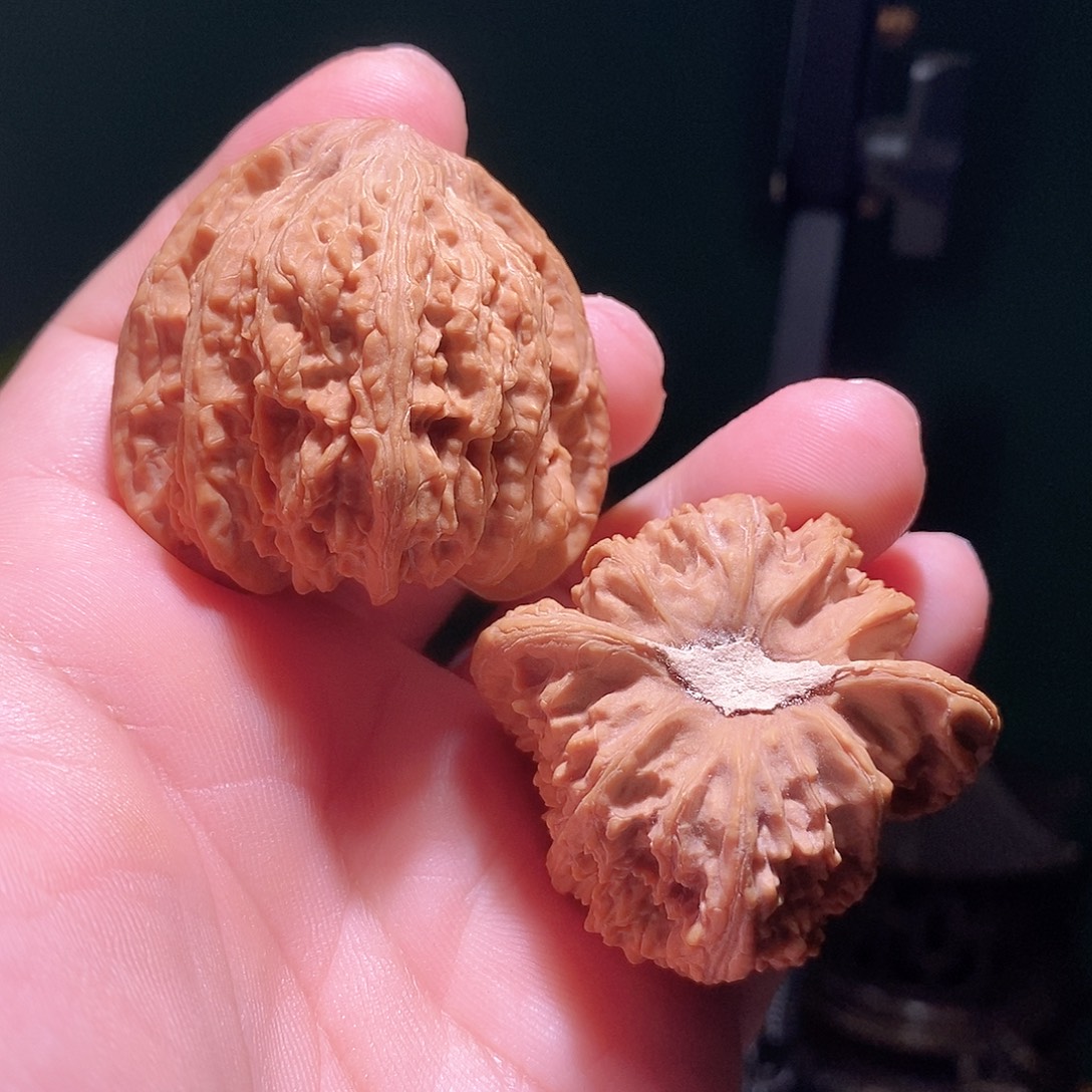 把件文玩核桃43老款密纹狮子头全品