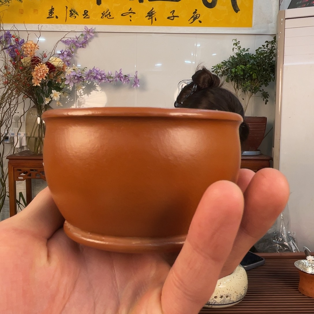 紫砂茶壶氼****乚赵庄朱泥主人杯素面