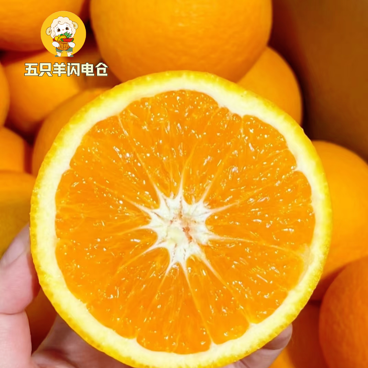 正宗江西赣南脐橙产地直采新鲜水果当季橙子带箱8斤