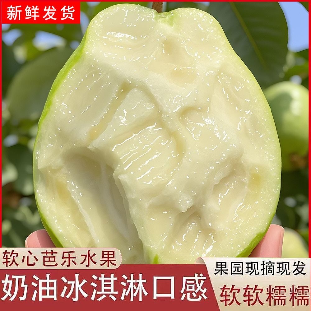 【奶油白心】树上熟奶油芭乐水果低脂低卡低糖口感软糯2.3-2.5斤净果福建省福建省