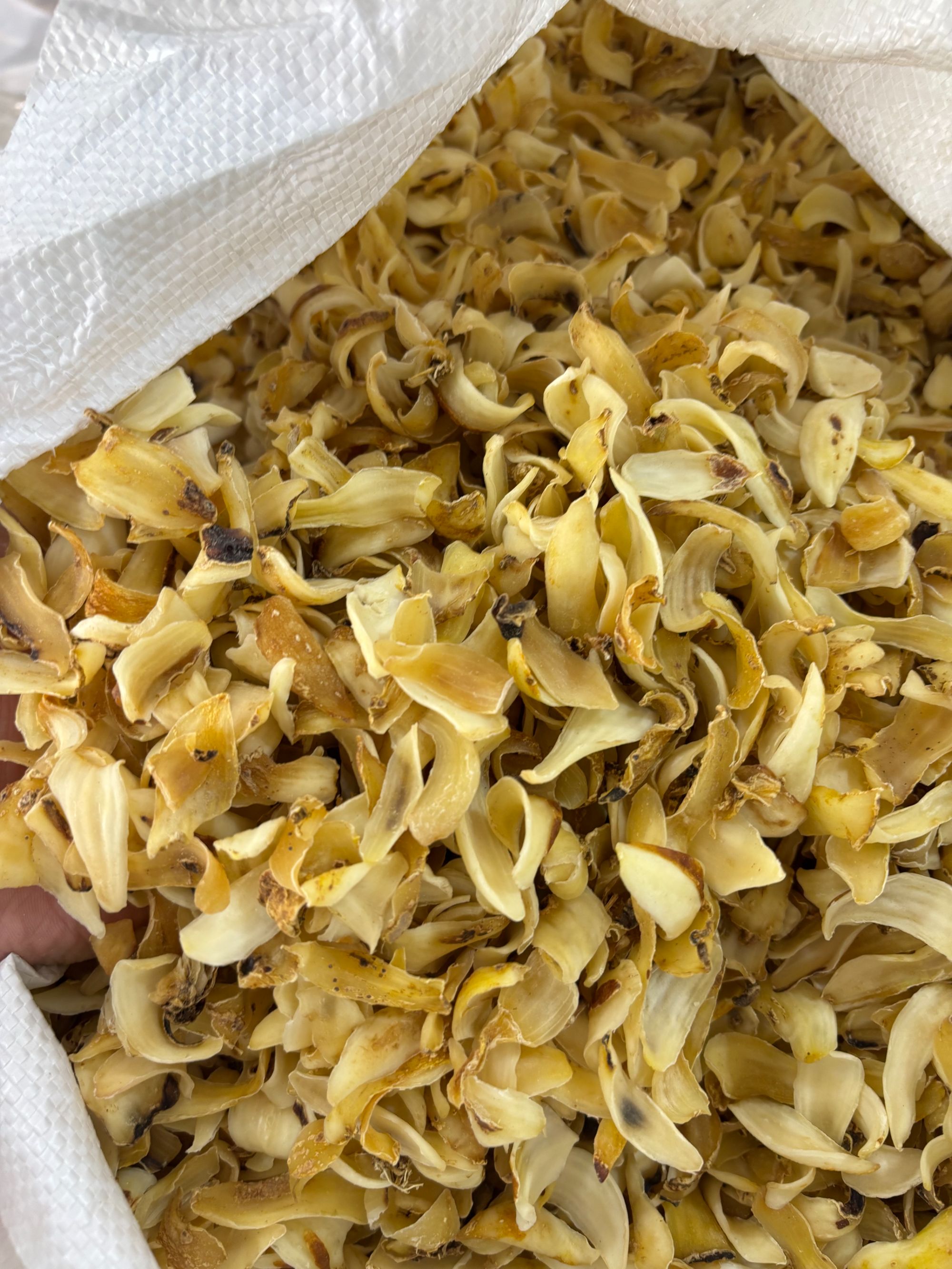 龙牙百合无硫大片精选250g/500g 净重足秤