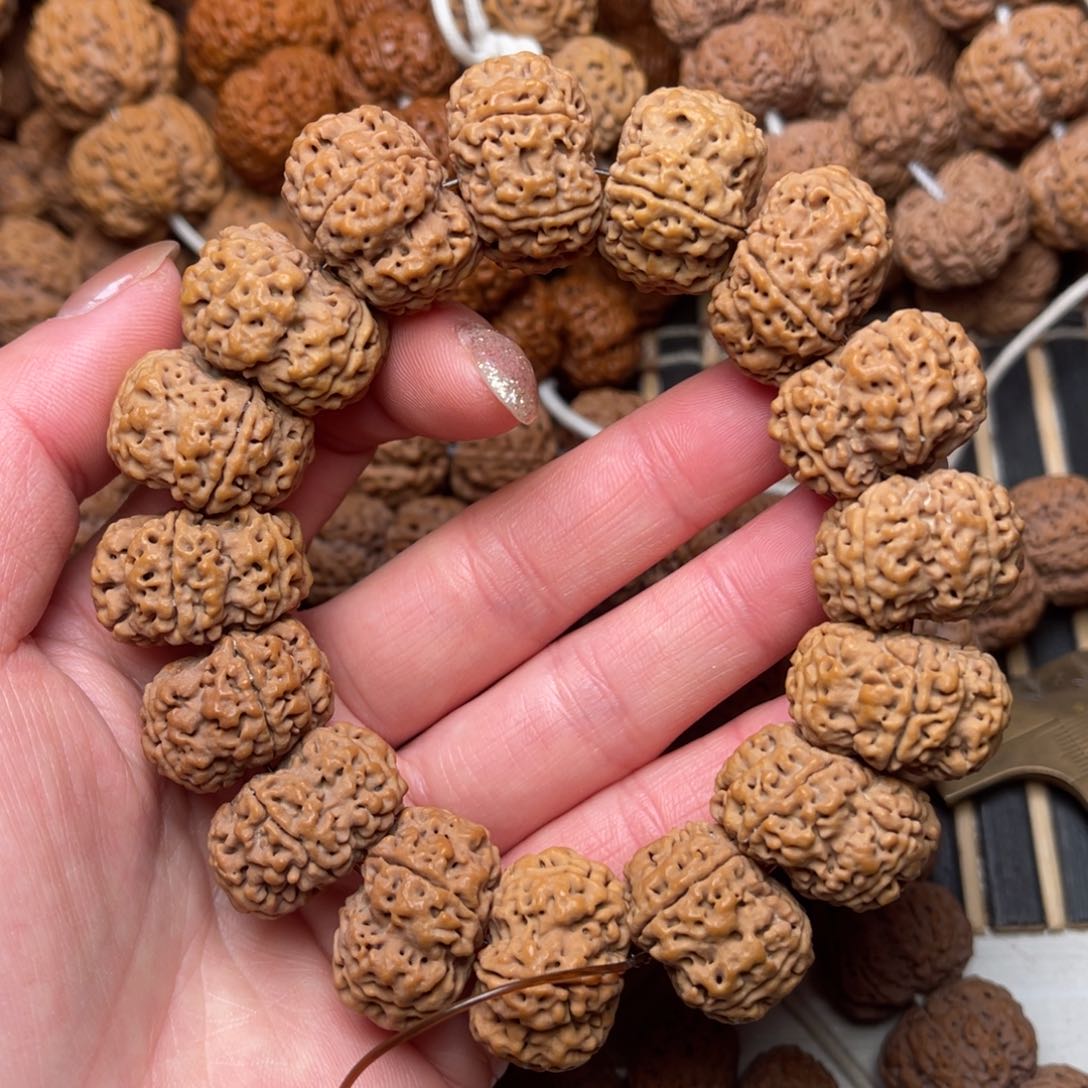 菩提尼泊尔大金刚夹板23