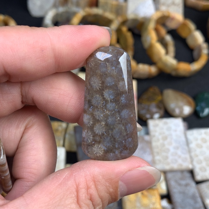 【闪购商品】硅化珊瑚（珊瑚玉）颈饰未镶嵌我***肉