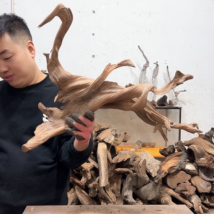 柏木彪*我们的生活是以自己为