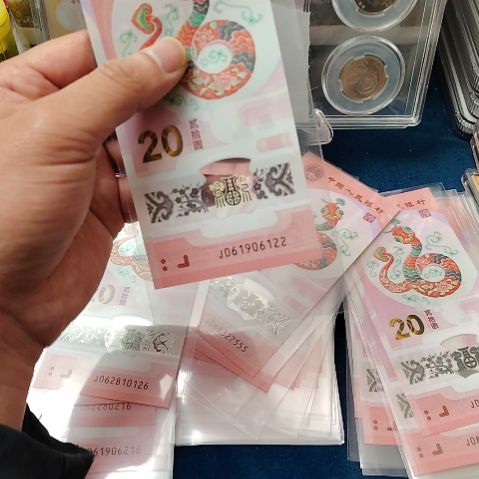 塑料蛇钞朦胧061906122