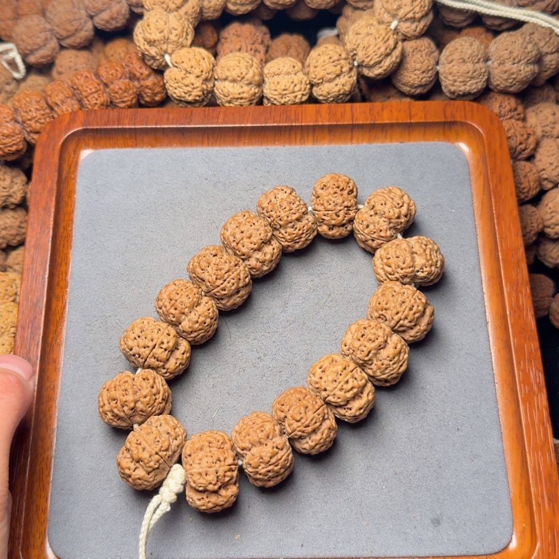 10号尼泊尔大金刚25粗筋梅花夹板