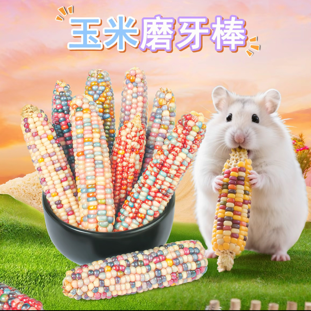 面包虫金丝熊花枝鼠造景生活用品