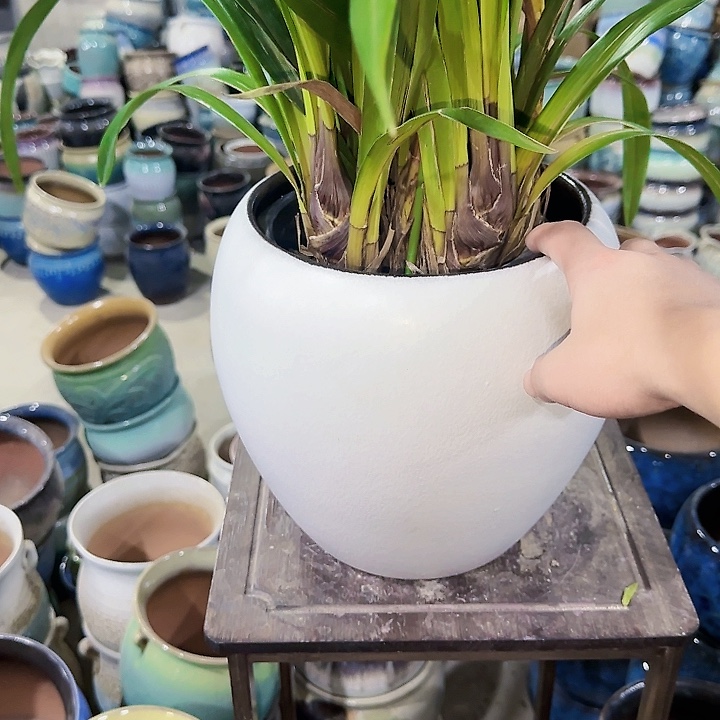 红陶高度24口19亩耕地