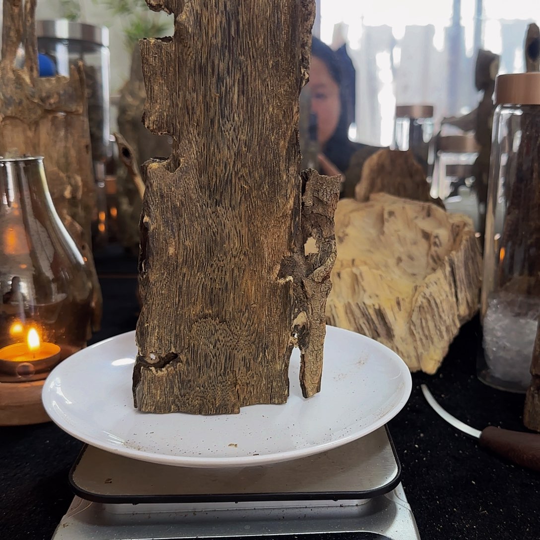 沉香沉香碎屑精品香霸树心油虫漏139.5克