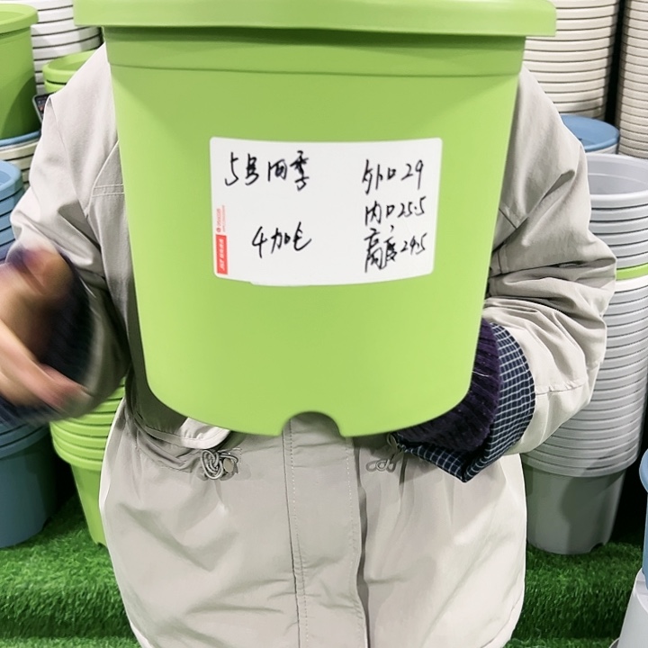 特价四季5号口29高24果绿色无托5只