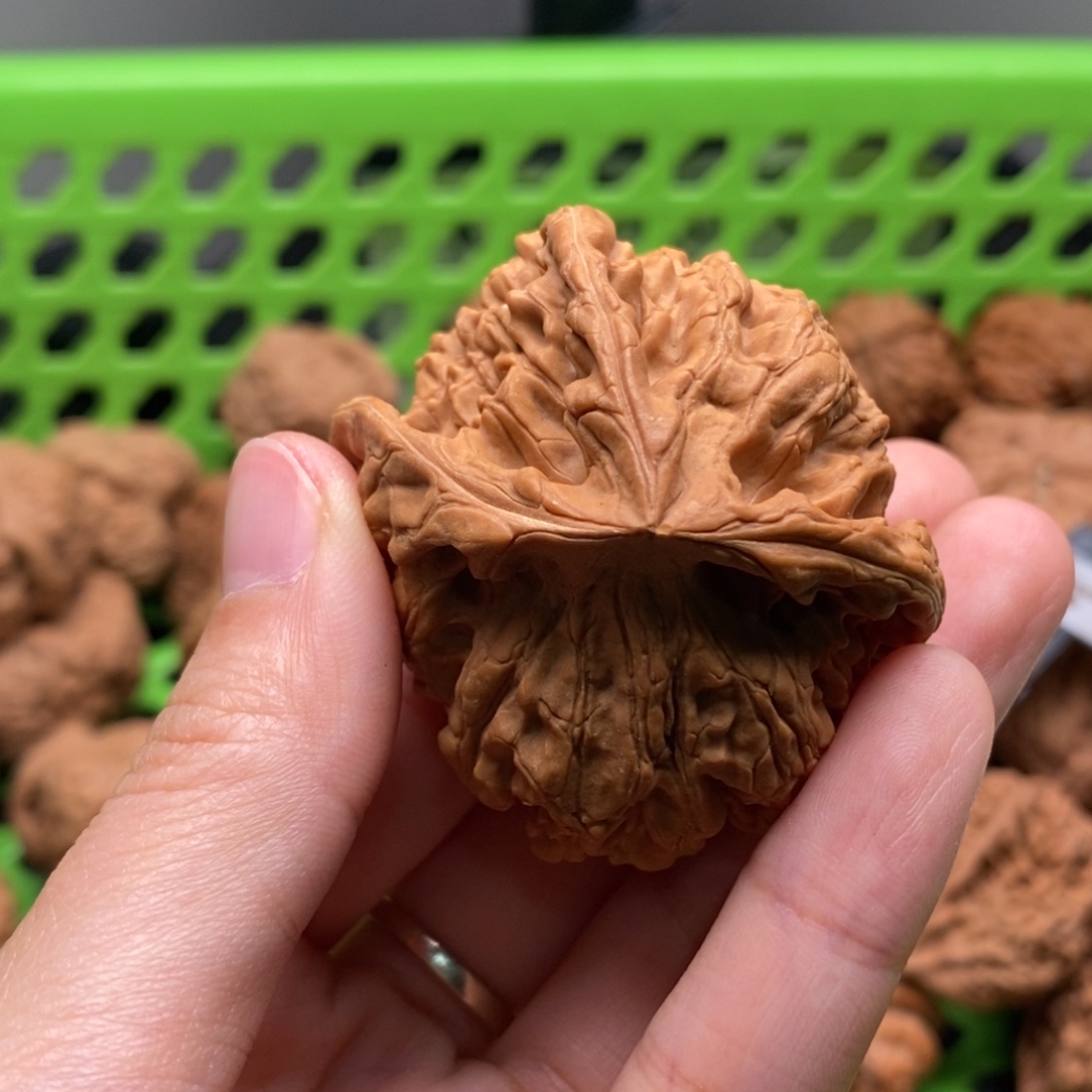 逻***辑核桃定制商品不退不换