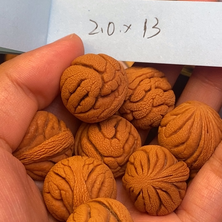 文玩核桃吊坠秦岭龙纹桃核22