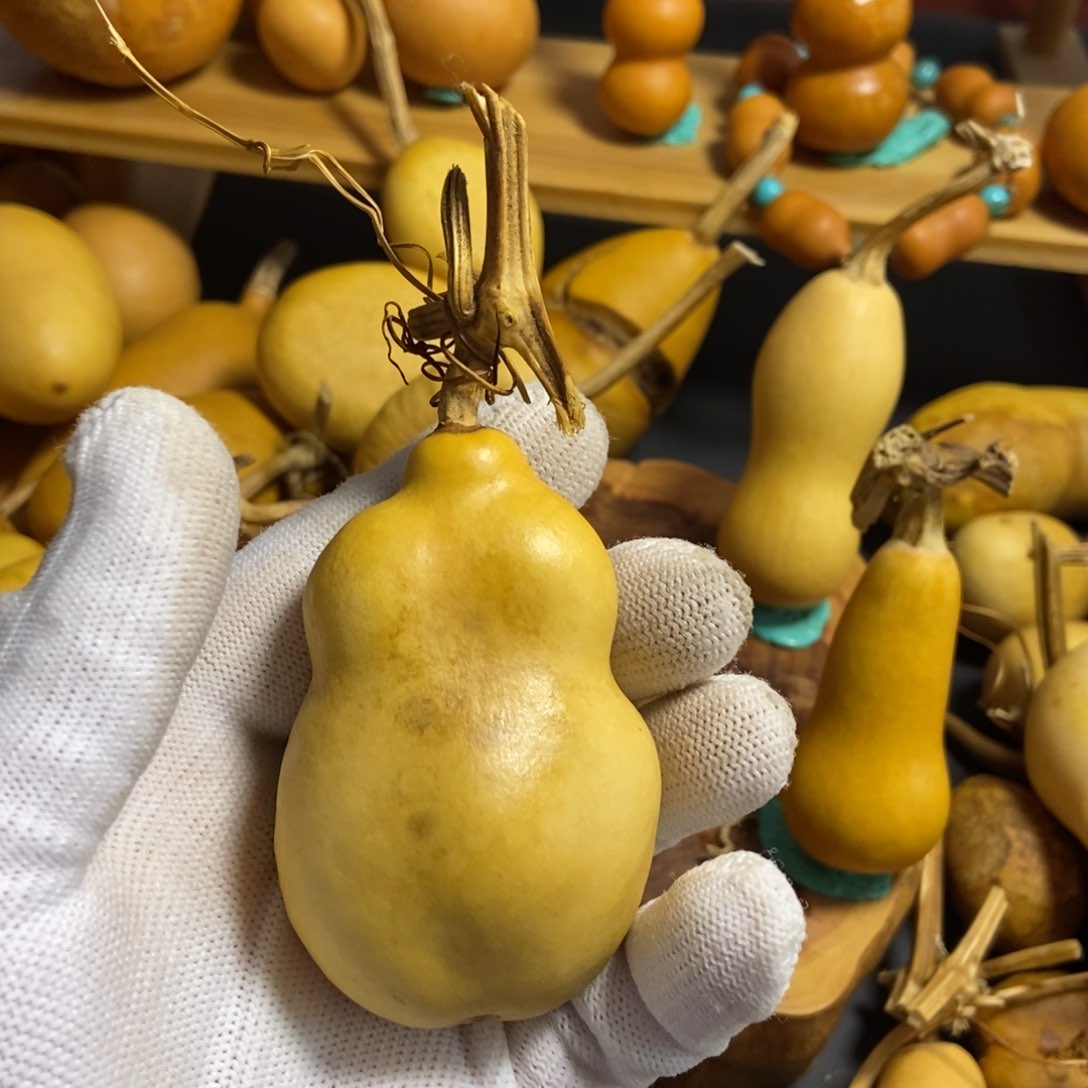 心***安葫芦葫芦真的