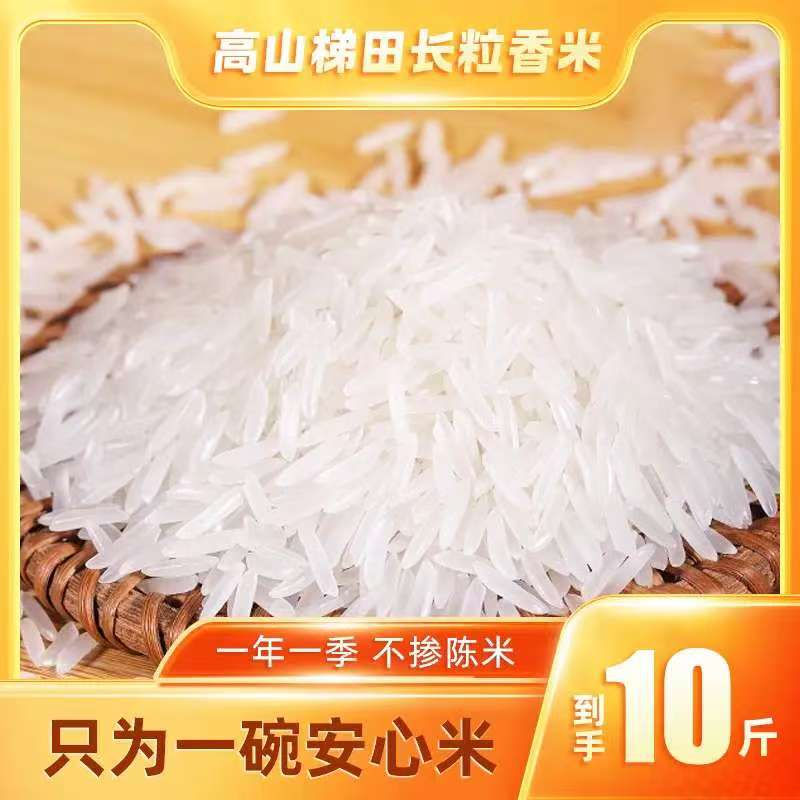 【拍5斤送5斤到手10斤】贵州高山梯田长粒香新米不抛光不打蜡JT