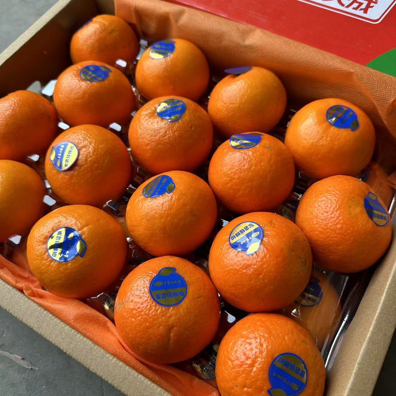 【顺丰包邮】千里山沃柑年货礼盒装毛重10斤广西武鸣沃柑桔子新年走亲戚礼品沃柑广西壮族自治区