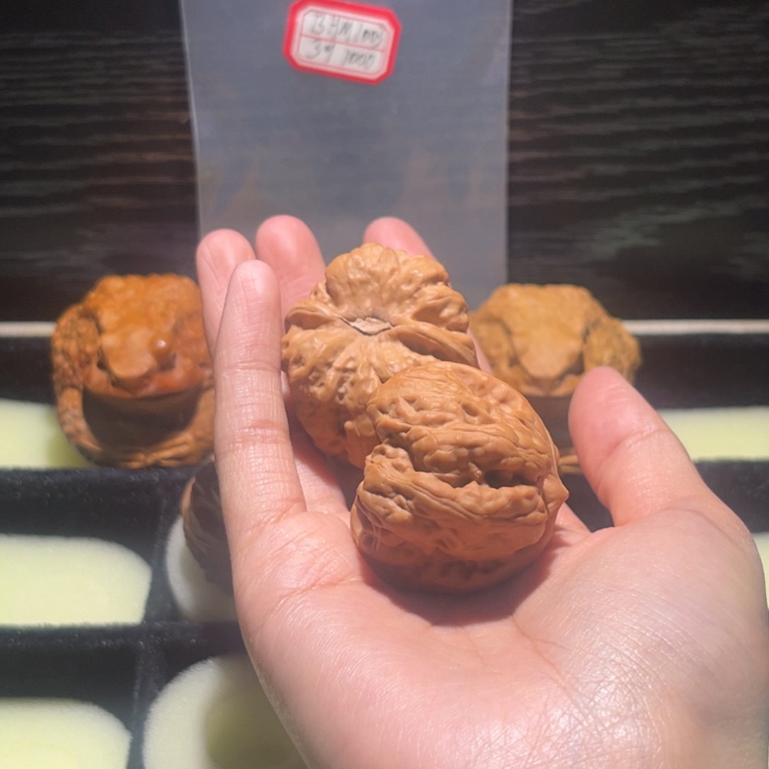 薛***谔大叶紫檀（黑酸枝木类）蛤蟆