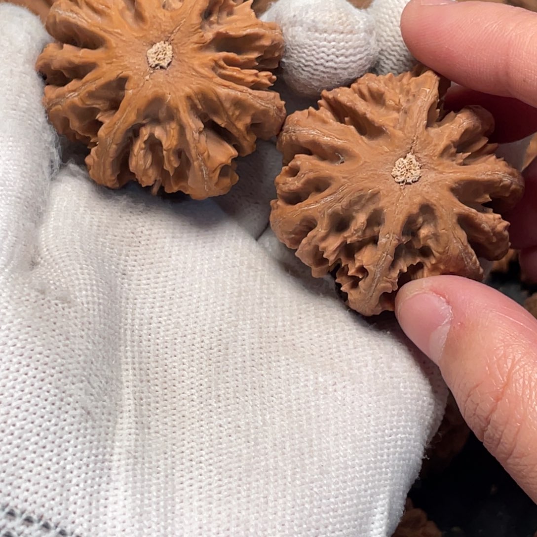 晒***钙桃核吊坠3秦岭灯笼野生小众