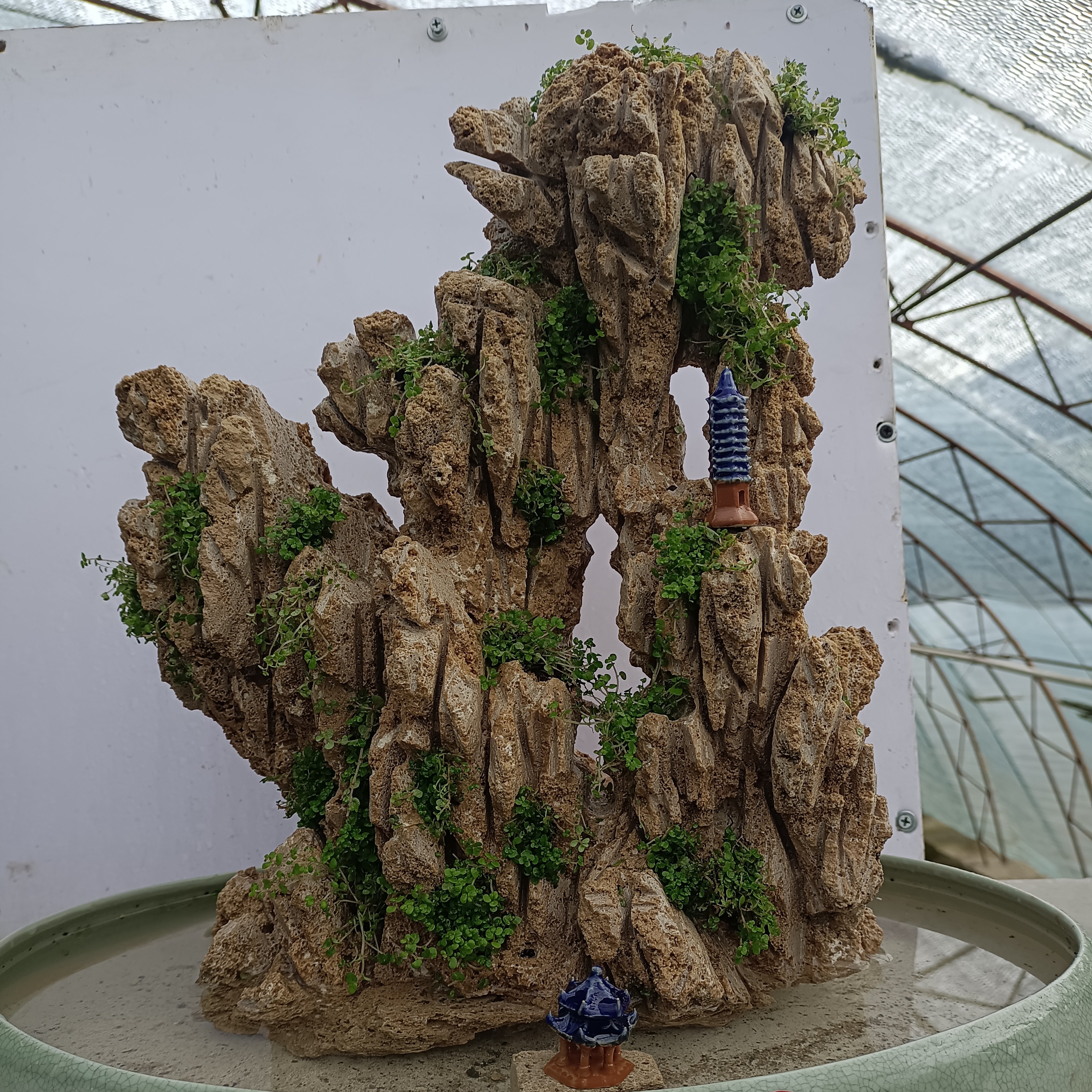 高40盆长43吸水石绿植造景吸水石盆景盆景上水石