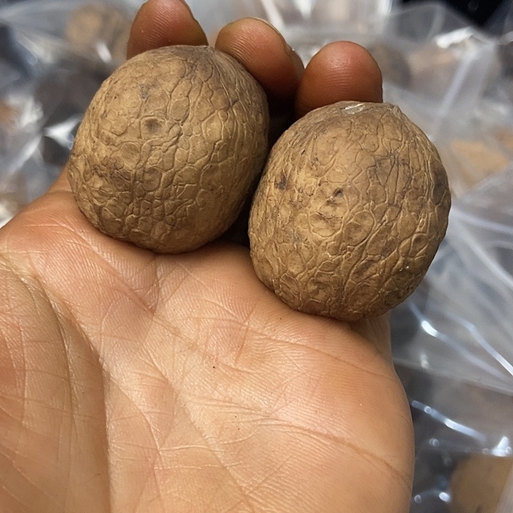 把件文玩核桃云南铁核桃基地5